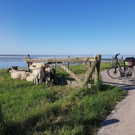 Σπίτι διακοπών D 6 By Interhome *